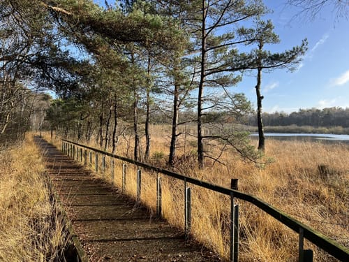 Lüntener Fischteiche