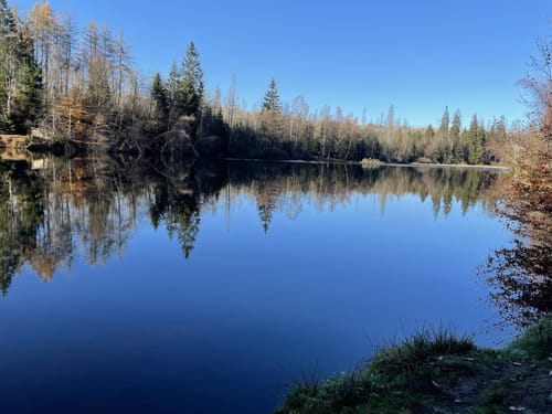 Blick ins romantische Odertal
