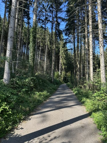 Rundweg Mersberg
