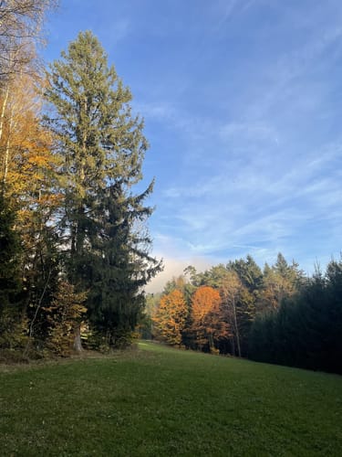 Goldsteig Nordroute Etappe 12: Schönbuchen nach Eck