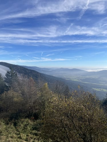 Goldsteig Nordroute Etappe 12: Schönbuchen nach Eck