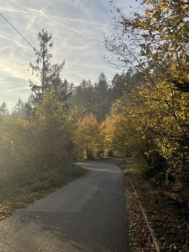 Goldsteig Nordroute Etappe 12: Schönbuchen nach Eck