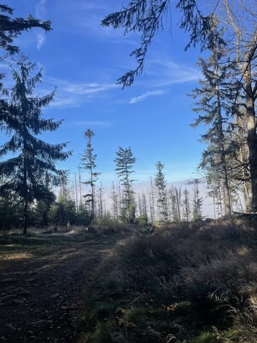 Goldsteig Nordroute Etappe 12: Schönbuchen nach Eck