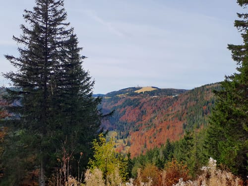 Feldberg - Schluchsee