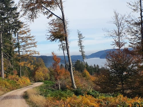 Feldberg - Schluchsee