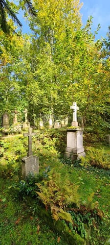 Von der Illenau über den Vogelsberg zum Schelzberg