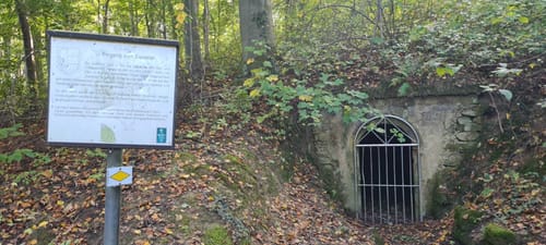 Von der Illenau über den Vogelsberg zum Schelzberg
