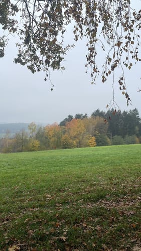 Steinmauernweg (Pe03)