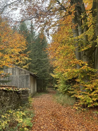 Steinmauernweg (Pe03)