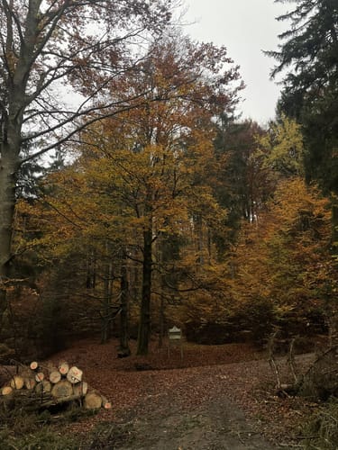 Steinmauernweg (Pe03)
