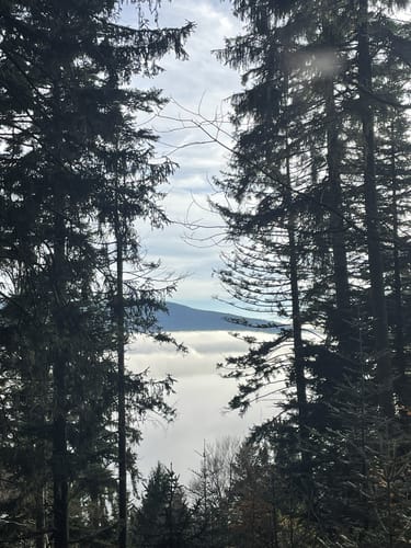 Höhenwanderweg von Rimbach