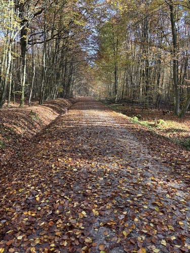 Silvesterlauf Mörschied