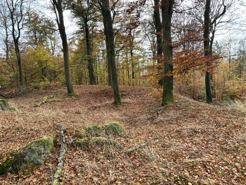 Kulturweg Eisen