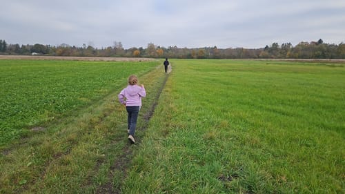 Kleine Runde um den Böhmerweiher