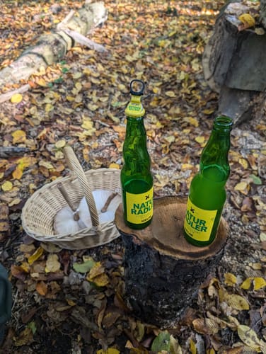 Im Käfertaler Wald