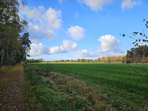 Durch den Thörenwald