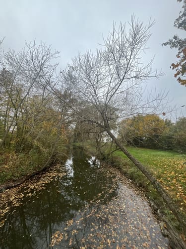 Entlang der Amper ab Dachau