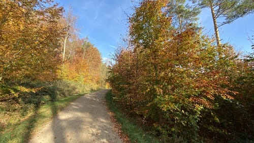 Kreischa - Wilisch -Teufelsmühle