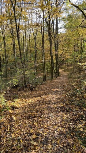 Kreischa - Wilisch -Teufelsmühle