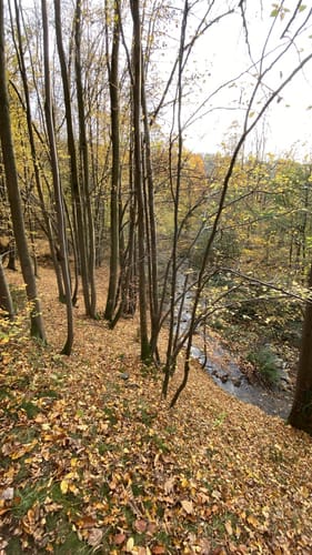 Kreischa - Wilisch -Teufelsmühle