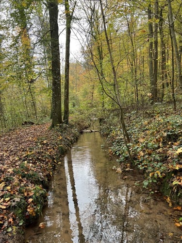 Kraichtal Wanderweg K1