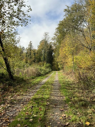 Kraichtal Wanderweg K1