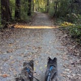 Lake Accotink Trail, Virginia - 2,879 Reviews, Map | AllTrails