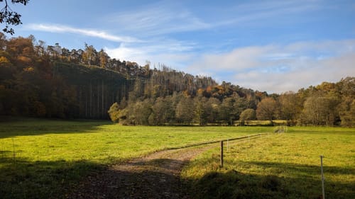Burg Ehrenstein - Dasbach