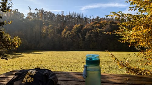 Burg Ehrenstein - Dasbach