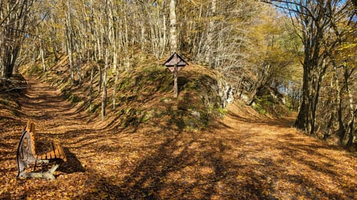 Burg Ehrenstein - Dasbach