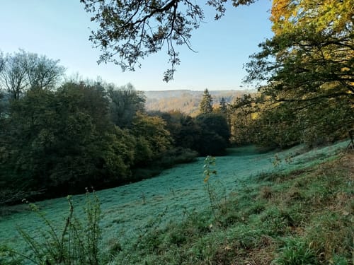 Tiefenbronn Schwarzer Adler - Tiefenbronn Mühlweg