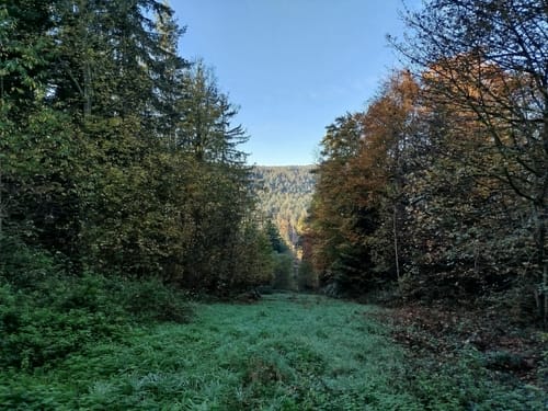 Tiefenbronn Schwarzer Adler - Tiefenbronn Mühlweg