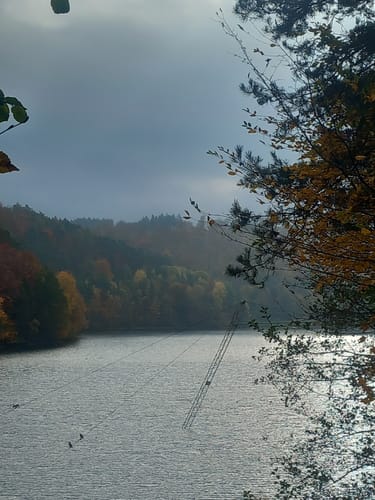 Rund um den Twistesee