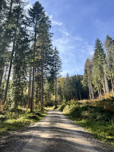Heigelkopf - Blomberg Ostgipfel - Blomberghaus