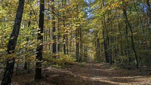 Kienbaum Runde