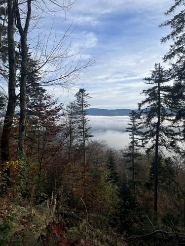 Höhenwanderweg von Rimbach