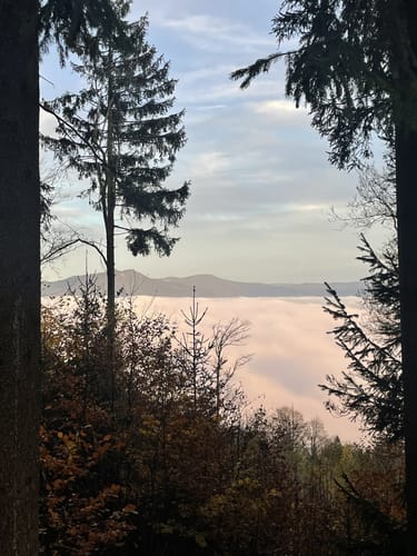 Höhenwanderweg von Rimbach