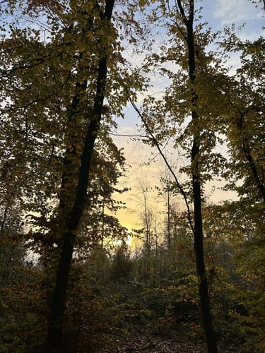 Hohemark - Hünerbergwiesen