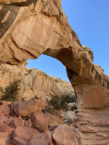 Photos of Hickman Bridge Trail Utah AllTrails