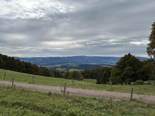 Kandel-Tour (Josef-Seger-Weg)