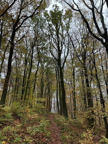 Rund um Diekholzen über Tosmarberg