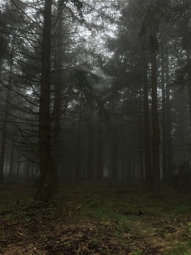 Großen Feldberg