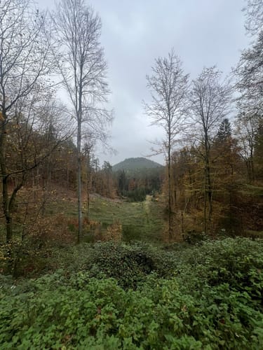 Einsiedlerhof - Gelterswoog