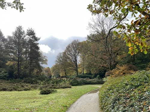 Im Schlosspark Lütetsburg
