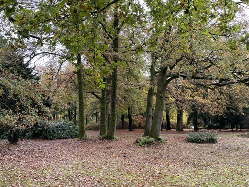 Im Schlosspark Lütetsburg