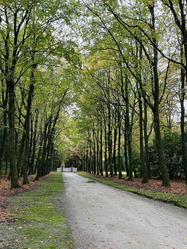 Im Schlosspark Lütetsburg