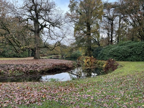 Im Schlosspark Lütetsburg
