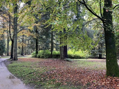 Im Schlosspark Lütetsburg