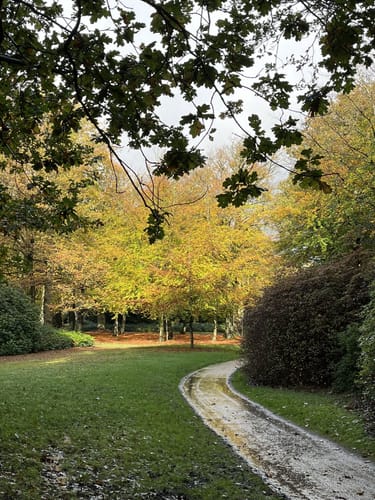 Im Schlosspark Lütetsburg