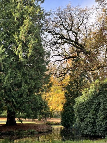 Im Schlosspark Lütetsburg
